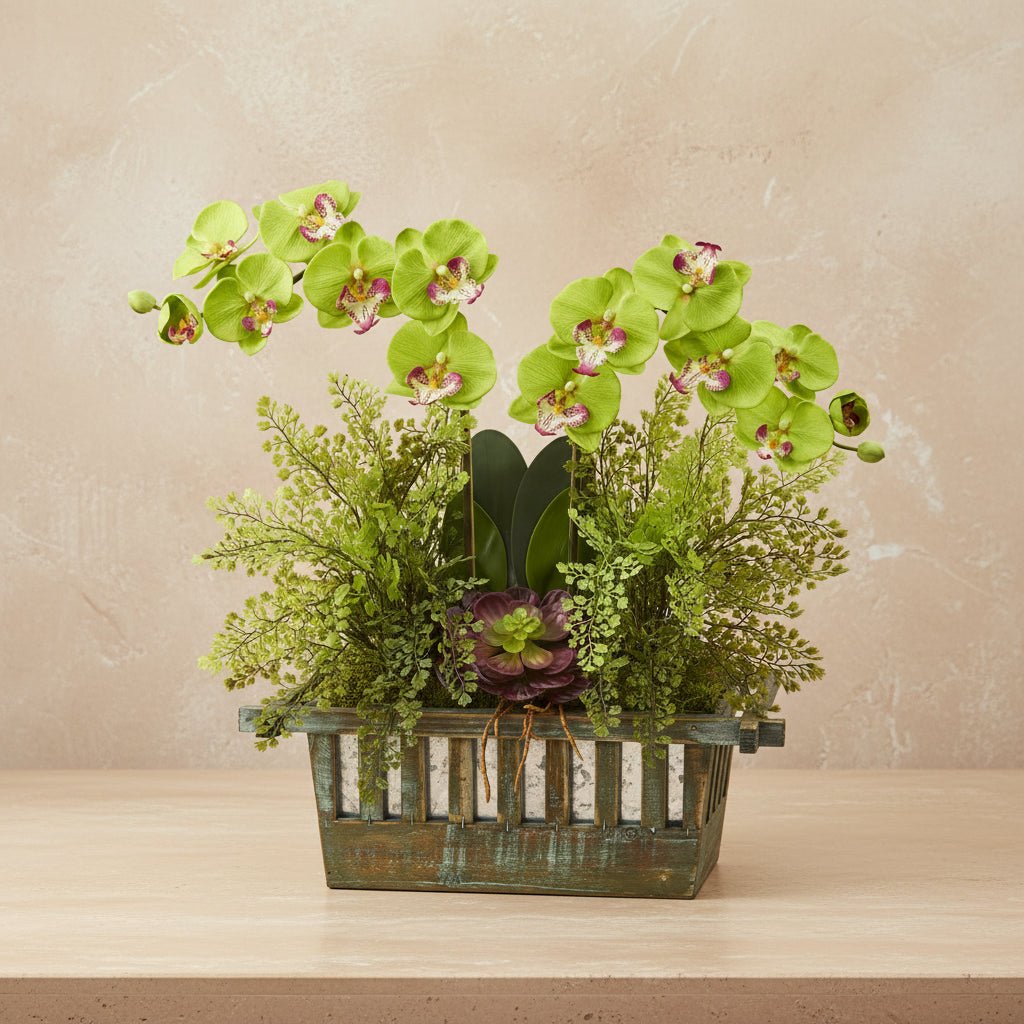 Orchid & Succulent Arrangement - TidyPlant