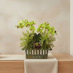 Orchid & Succulent Composition - TidyPlant