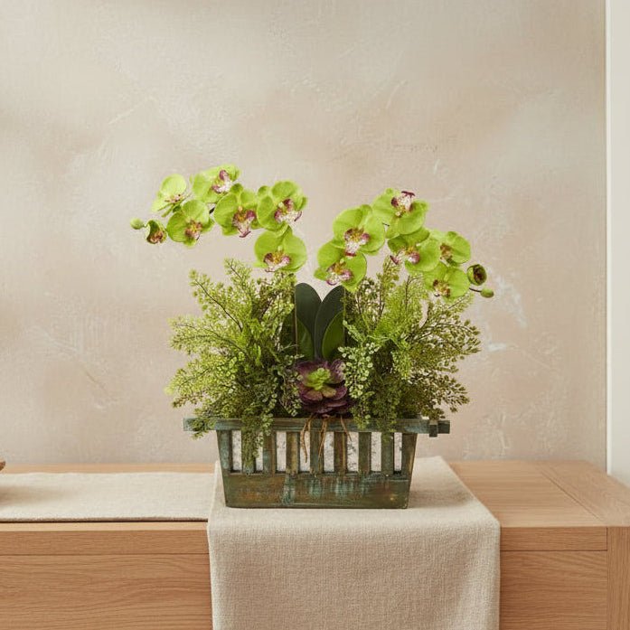 Orchid & Succulent Composition - TidyPlant