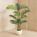 Potted palm plant on a white background
