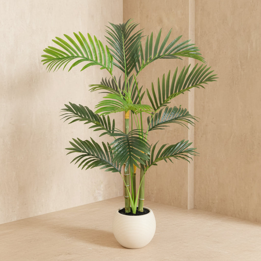 Potted palm plant on a white background