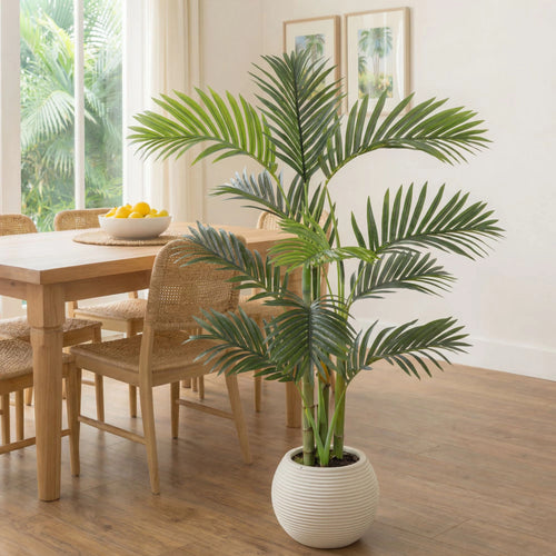 3.5' Areca Palm Tree