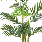 3.5' Areca Palm Tree