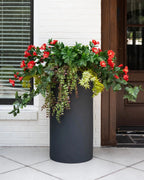 Petunias & Vines Arrangement - TidyPlant