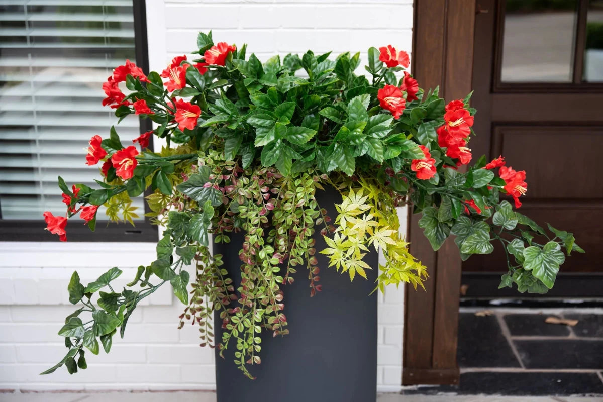 Petunias & Vines Arrangement - TidyPlant
