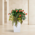 Petunias & Vines Arrangement - TidyPlant