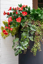 Petunias & Vines Arrangement - TidyPlant