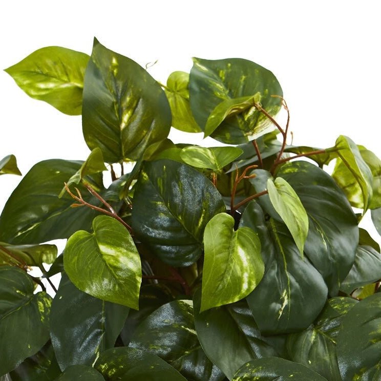 faux pothos Cascading Pothos Plant
