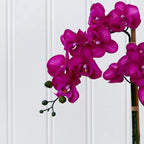 Purple Orchid Arrangement - TidyPlant
