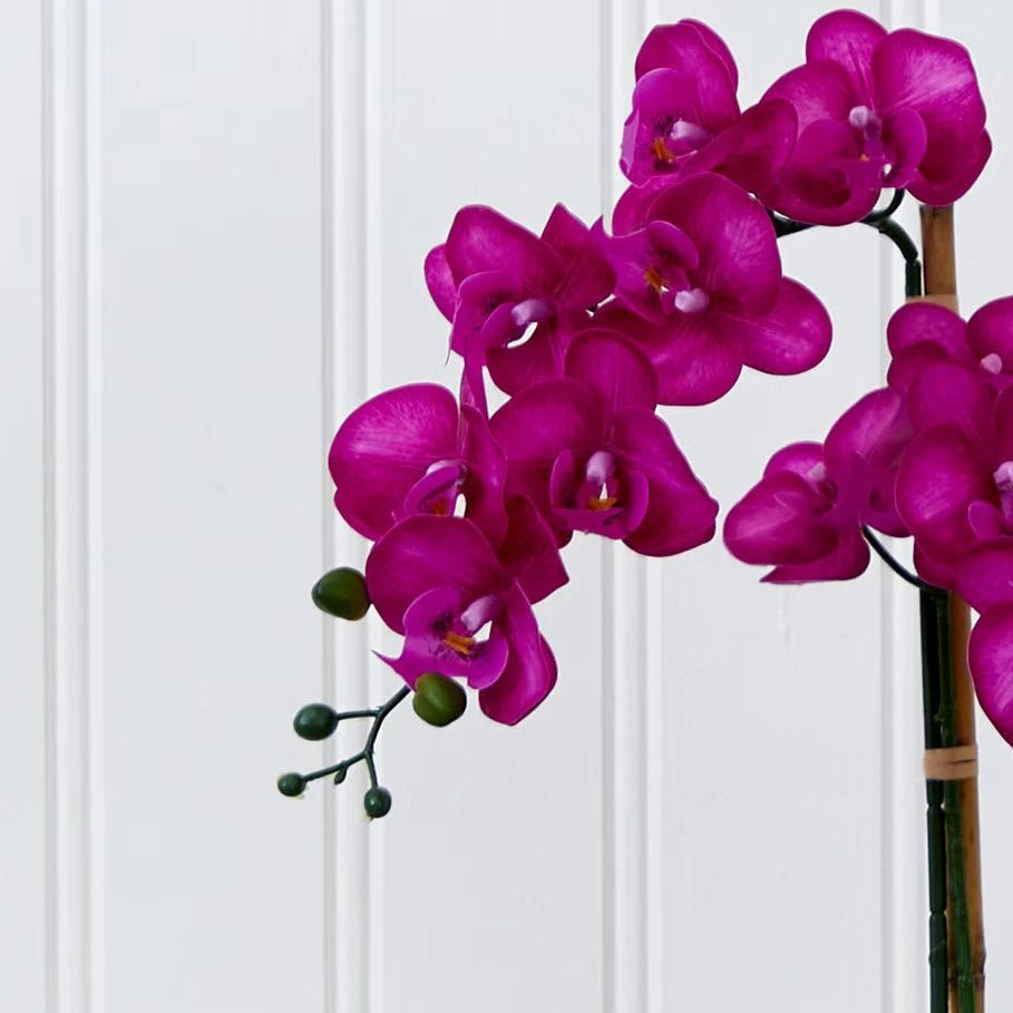 Purple Orchid Arrangement - TidyPlant