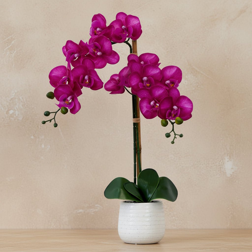 Purple Orchid Arrangement - TidyPlant