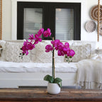 Purple Orchid Arrangement - TidyPlant