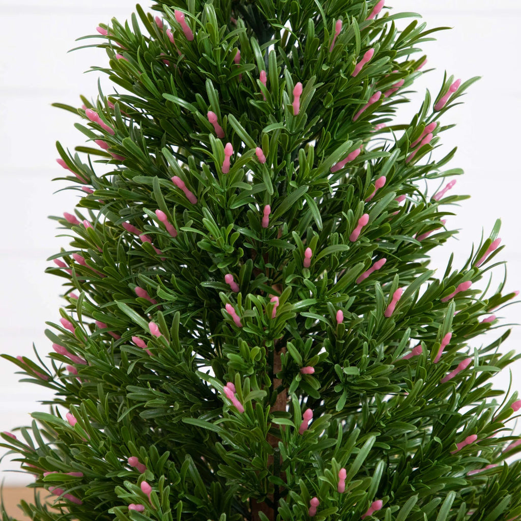 Rosemary Cone Topiary - TidyPlant
