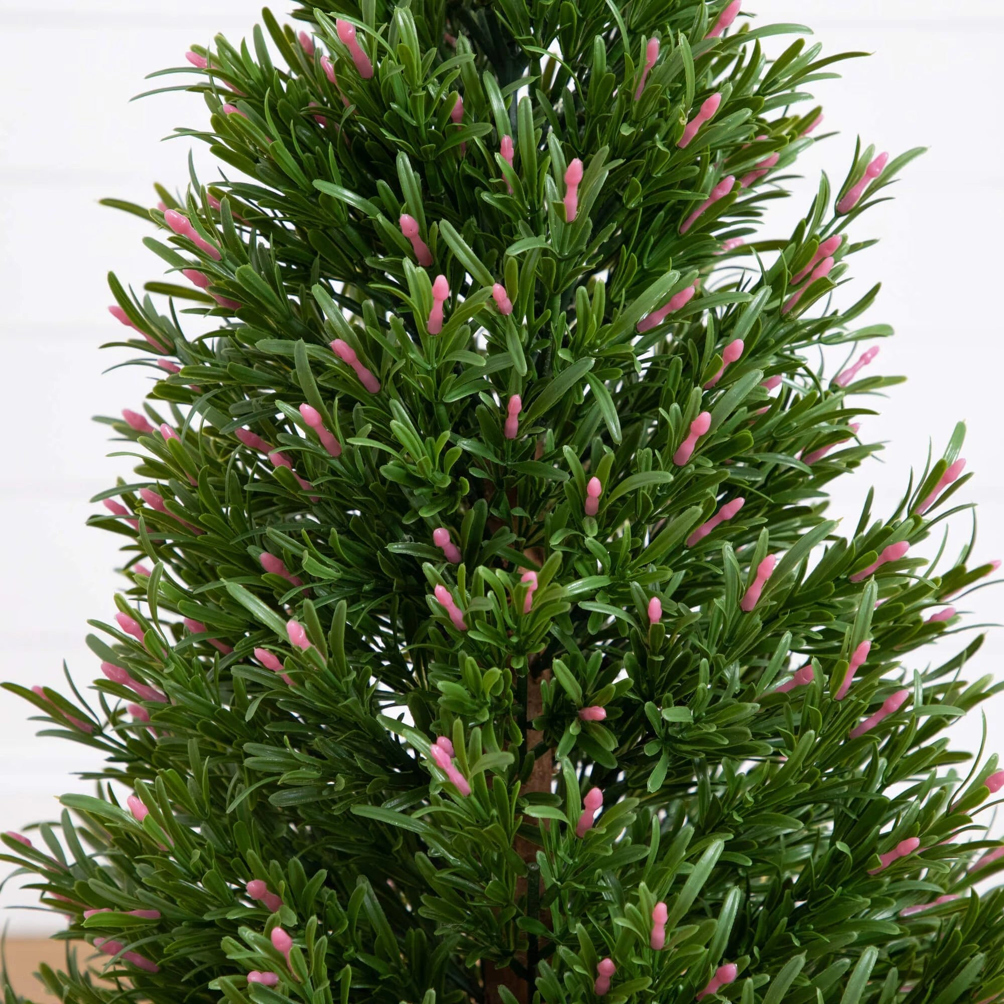 Rosemary Cone Topiary - TidyPlant