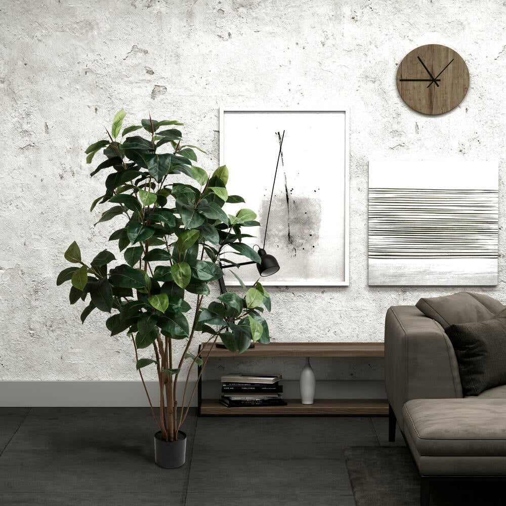 Rubber Tree - TidyPlant