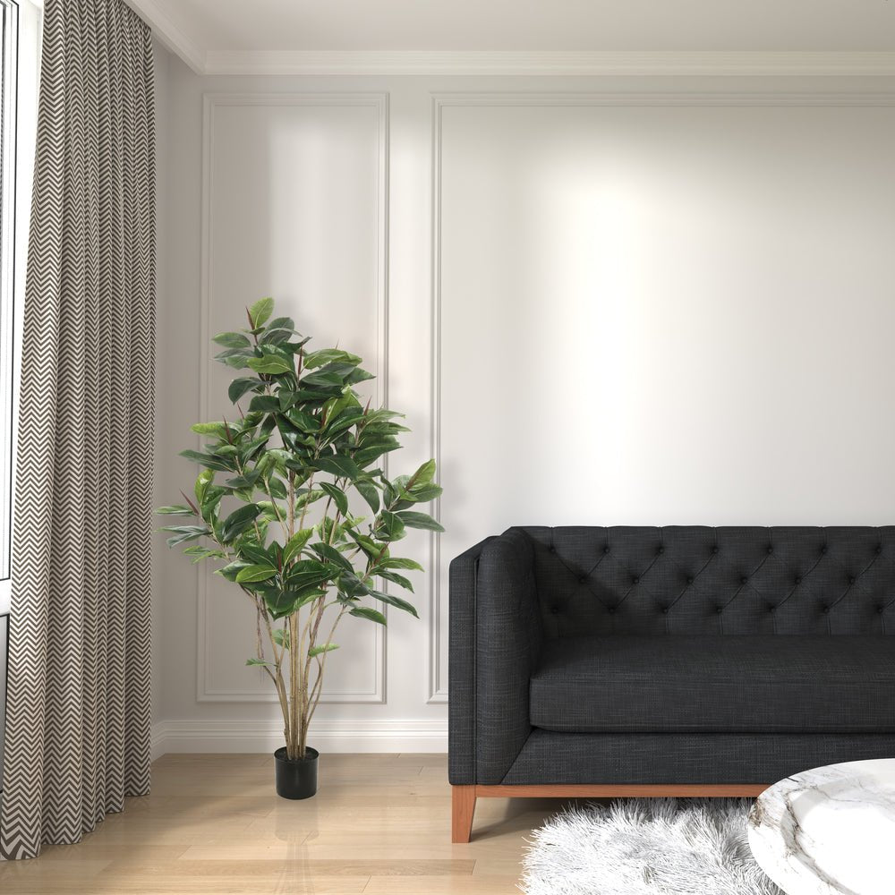 Rubber Tree - TidyPlant