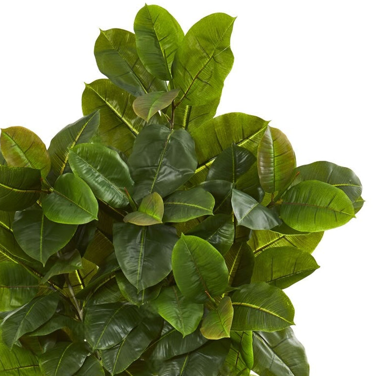 6' Rubber Leaf Tree