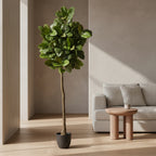 6' Rubber Leaf Tree