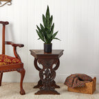 2' Sansevieria Snake Plant