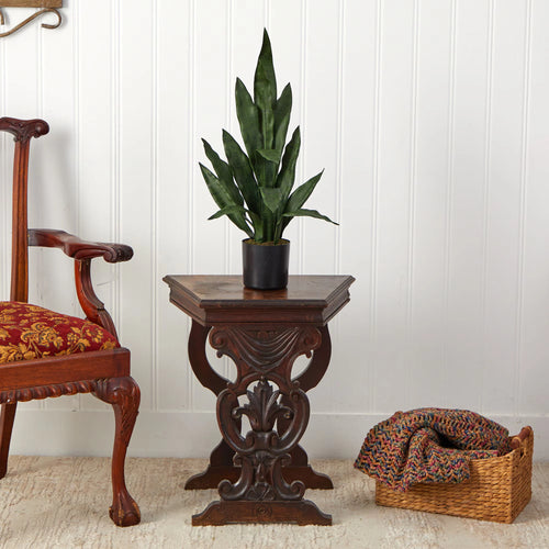 2' Sansevieria Snake Plant