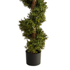 6’ Boxwood Spiral Topiary