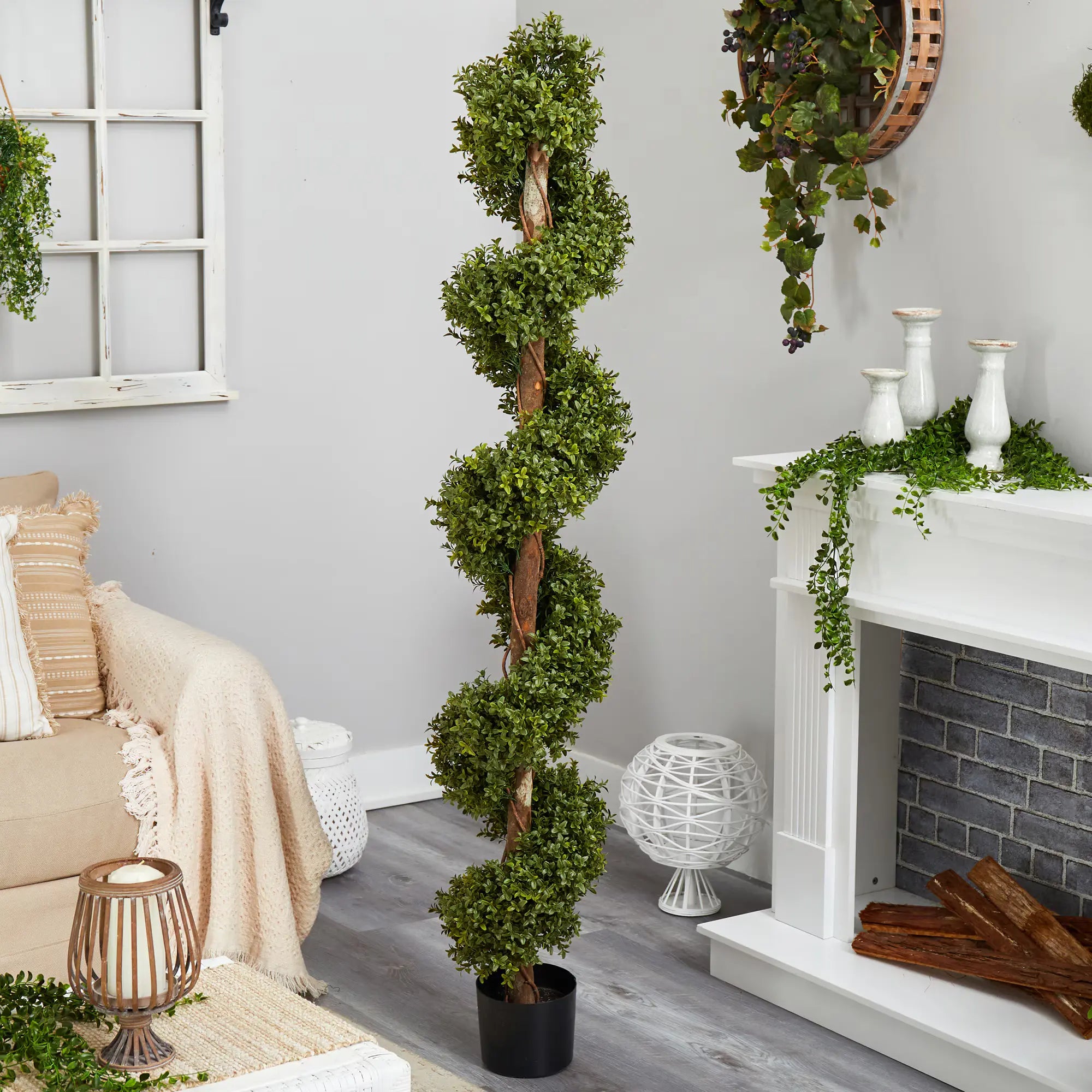 6’ Boxwood Spiral Topiary