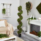 6’ Boxwood Spiral Topiary