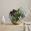 Succulents Arrangement - TidyPlant
