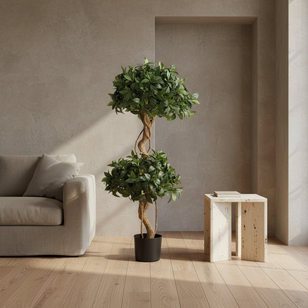 Sweet Bay Double Ball Topiary - TidyPlant