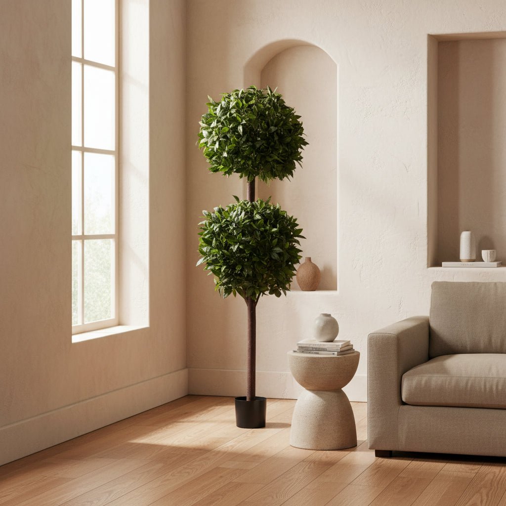 Sweet Bay Double Ball Topiary - TidyPlant