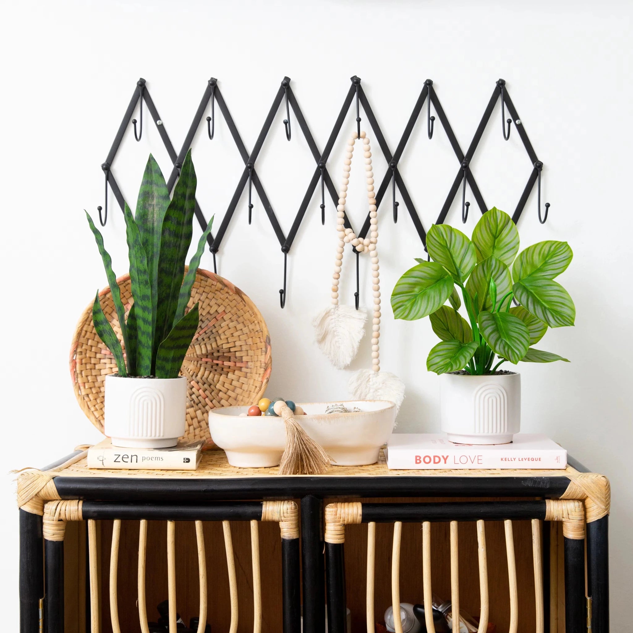 Tabletop Sansevieria Snake Plant - TidyPlant