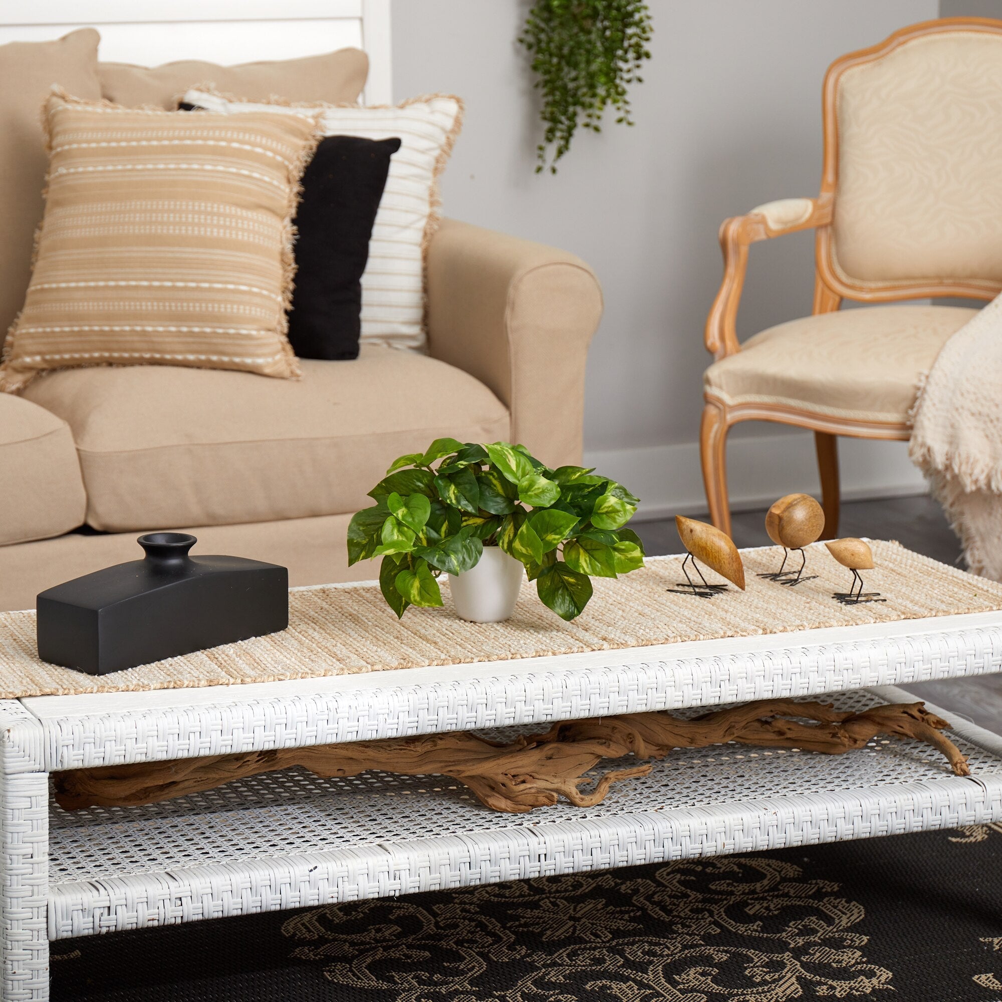 Trailing Pothos Plant - TidyPlant