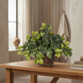 Trailing Pothos Plant - TidyPlant