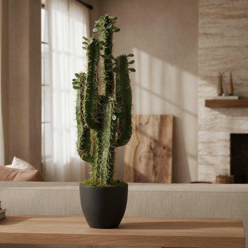 Upright Desert Cactus - TidyPlant