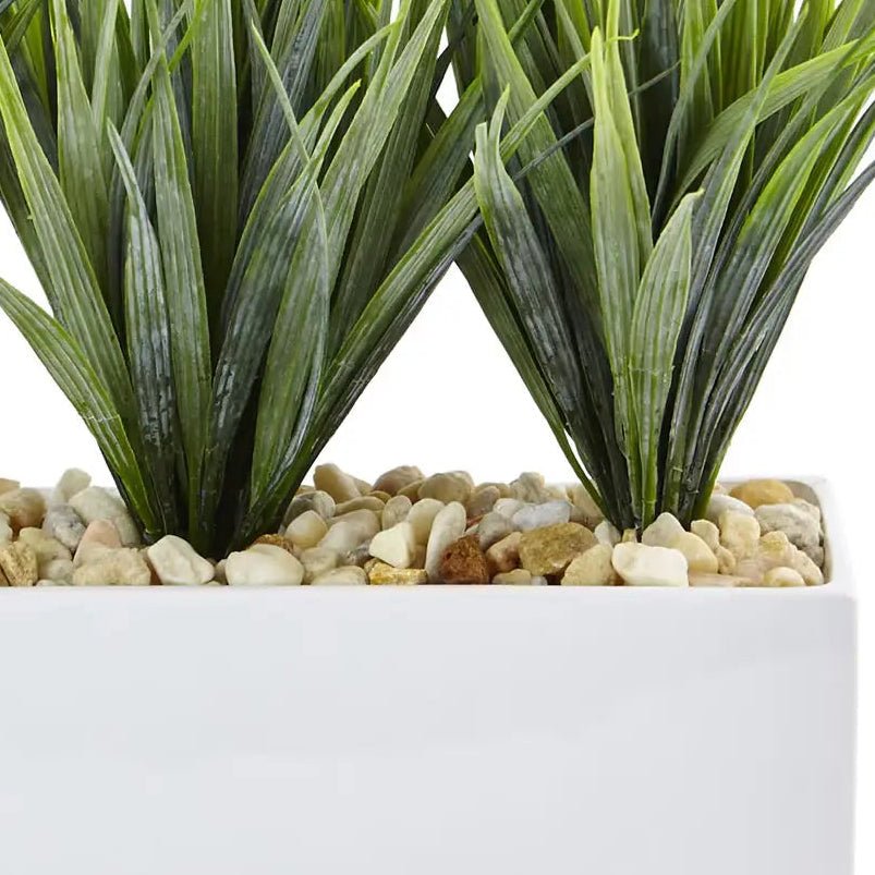 Vanilla Grass Arrangement - TidyPlant