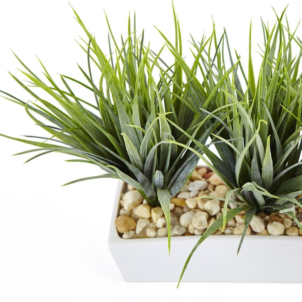 Vanilla Grass Arrangement - TidyPlant