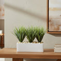 Vanilla Grass Arrangement - TidyPlant