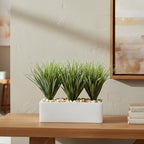 Vanilla Grass Arrangement - TidyPlant