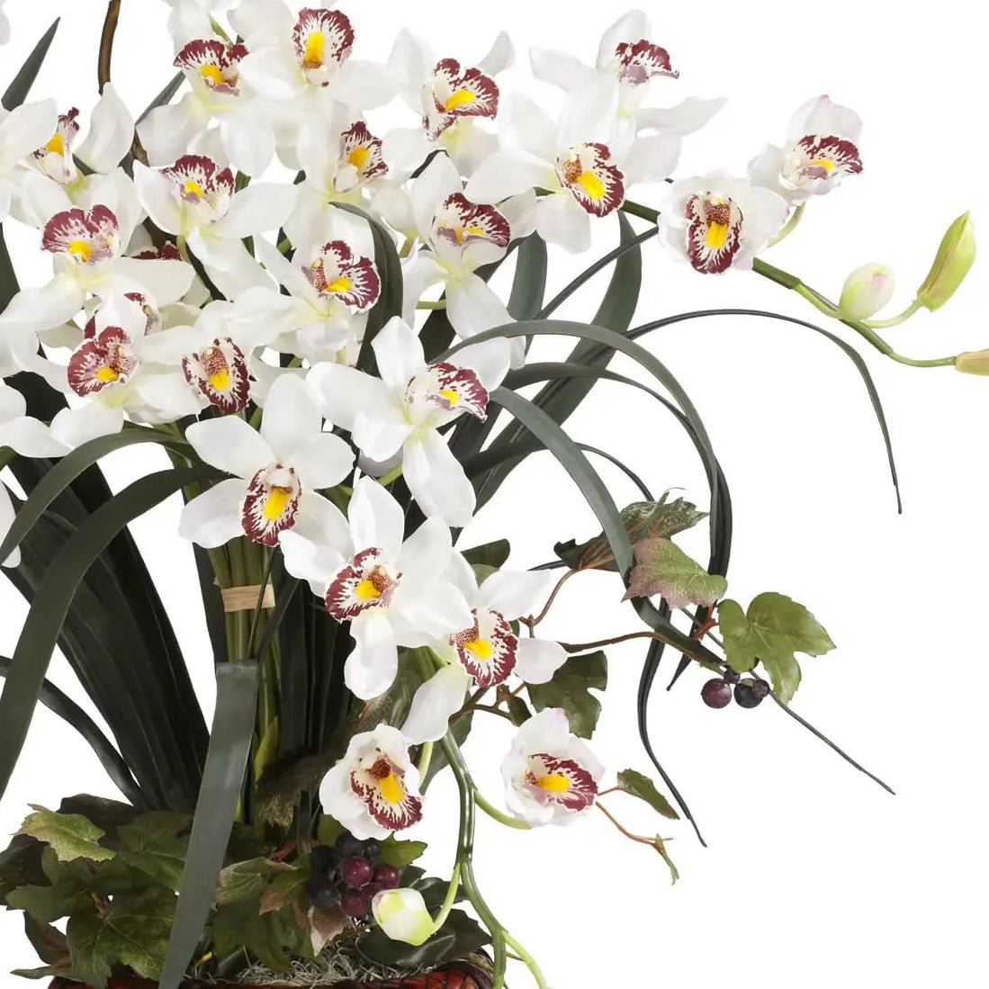 White Cymbidium Orchid Arrangement - TidyPlant