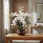 White Cymbidium Orchid Arrangement - TidyPlant