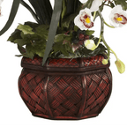 White Cymbidium Orchid Arrangement - TidyPlant