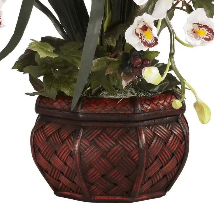 White Cymbidium Orchid Arrangement - TidyPlant
