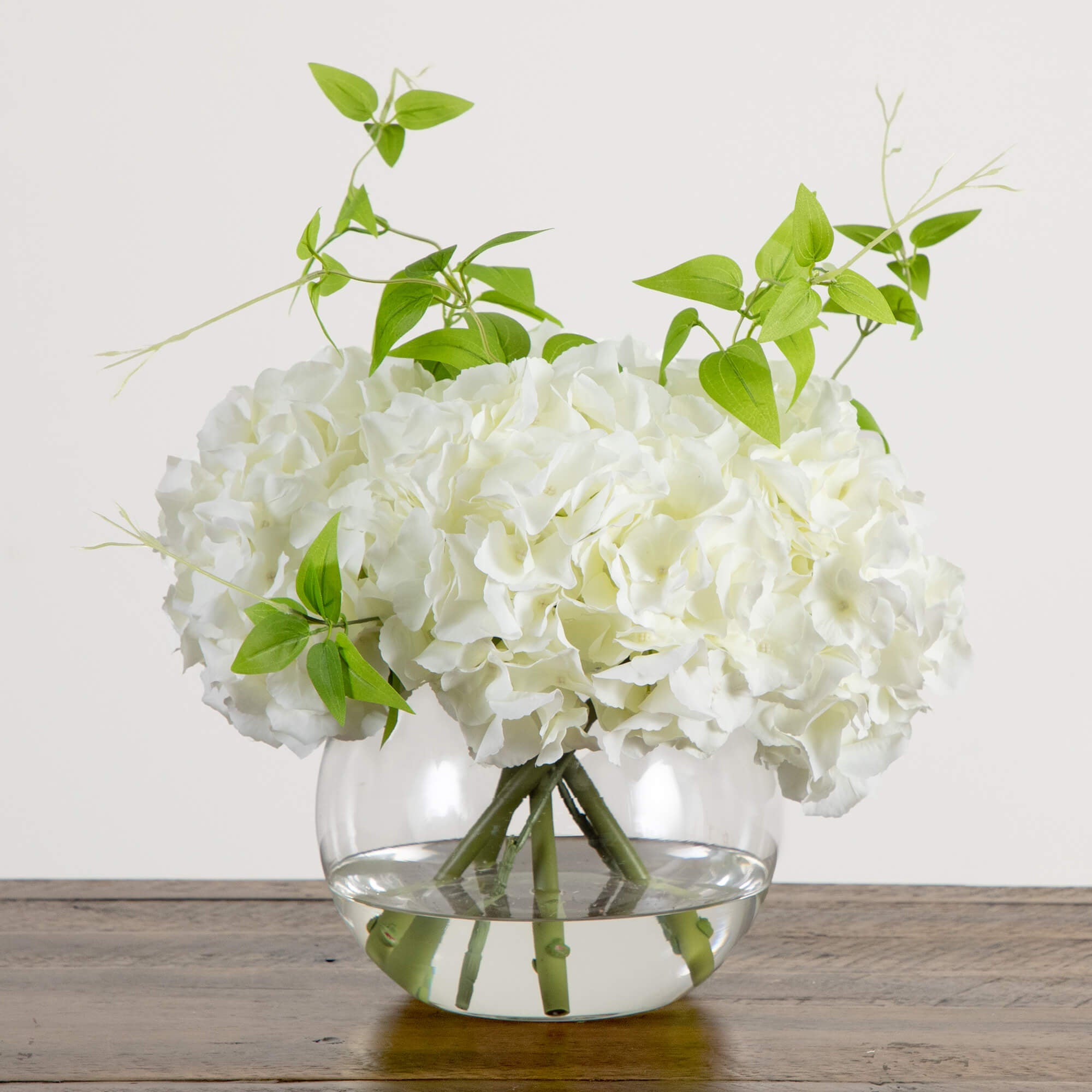 White Hydrangea Arrangement - TidyPlant