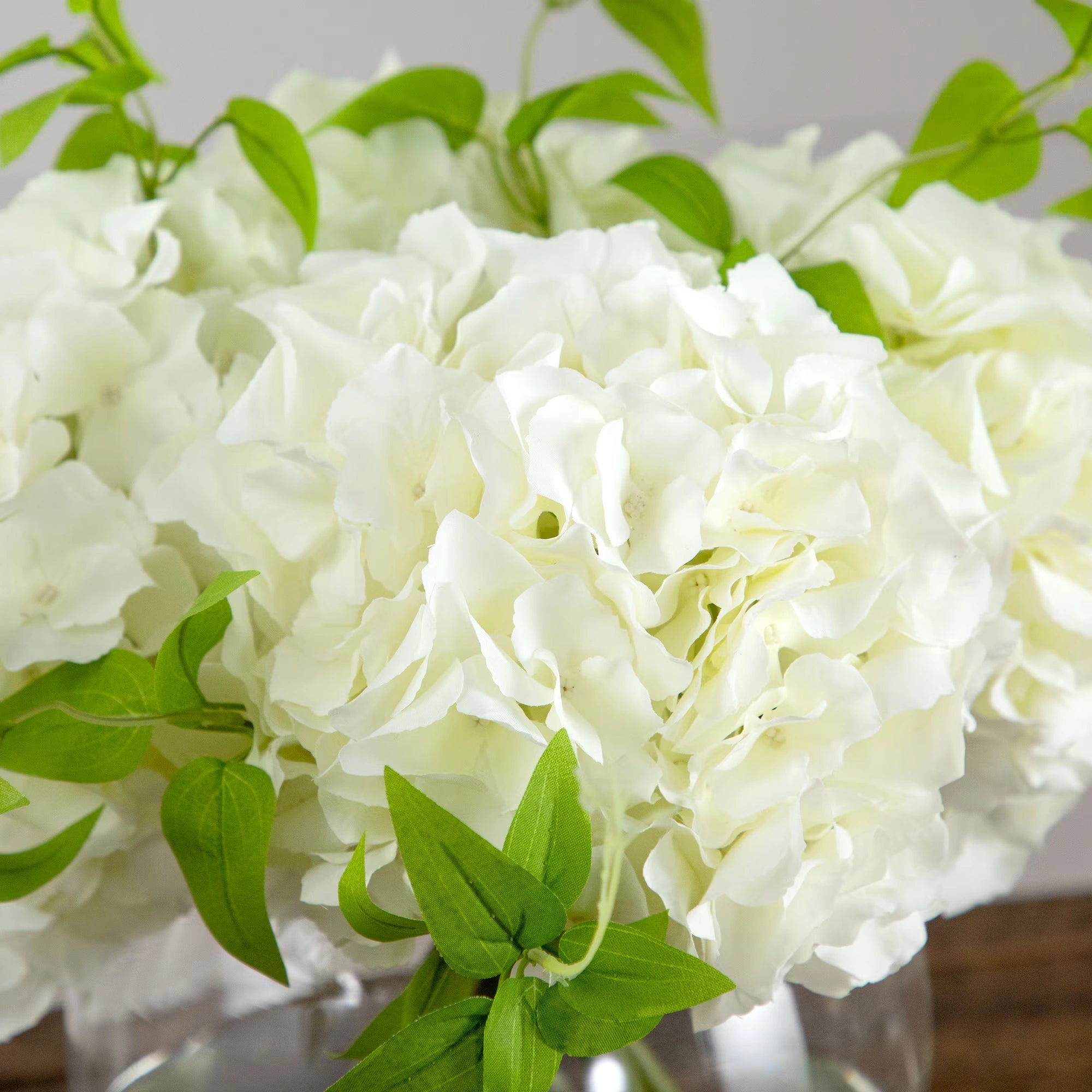 White Hydrangea Arrangement - TidyPlant