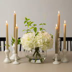 White Hydrangea Arrangement - TidyPlant