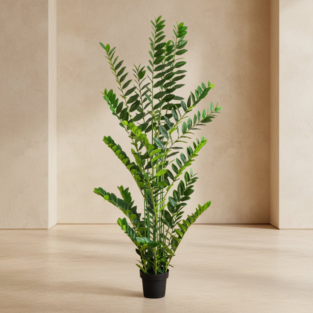 ZZ Plant (Zamioculcas) - TidyPlant
