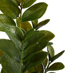 Lush ZZ Plant in Planter